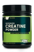 OPTIMUM NUTRTION Micronized Creatine, 1200 gr.